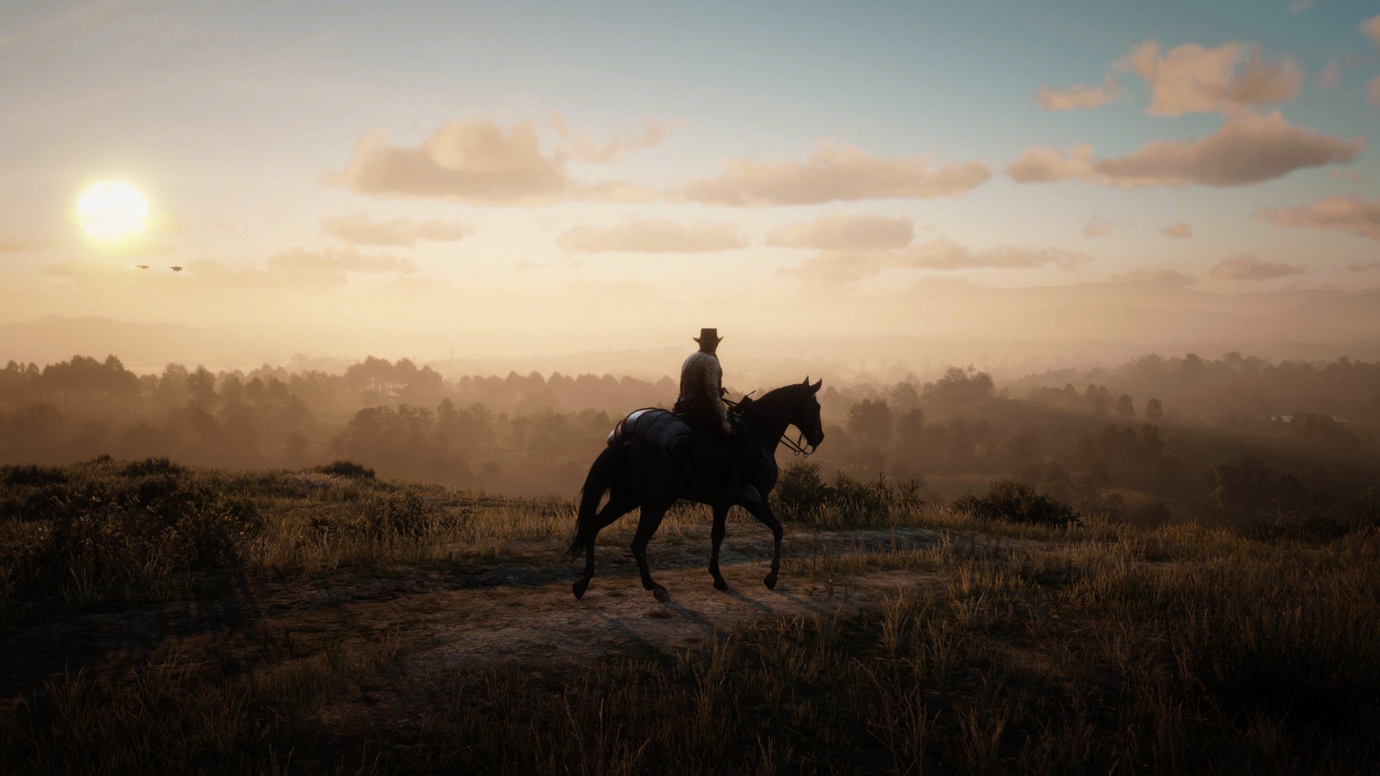 Red Dead Redemption -2